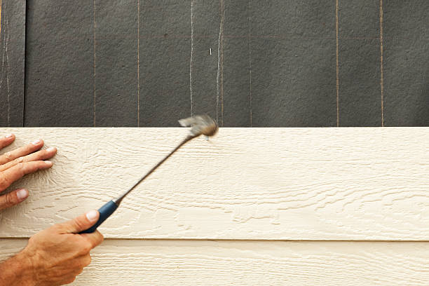 Best Vinyl Siding Installation  in Wolf Creek, UT